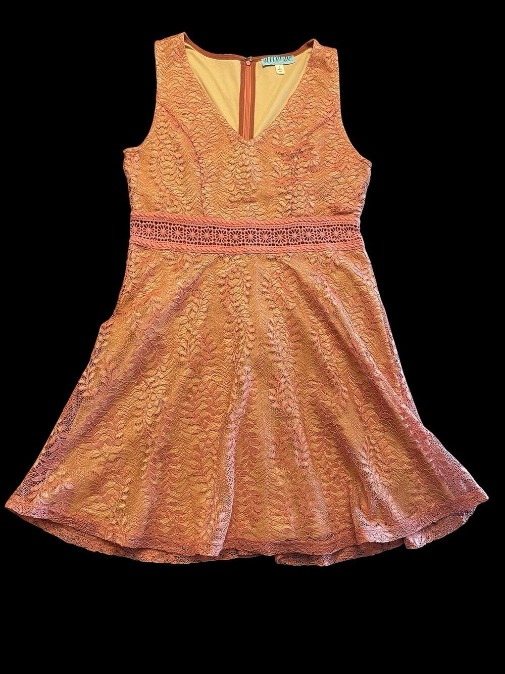 Francesca’s Dina Be Coral Pink Lace Fit & Flare Skater Mini Dress Large